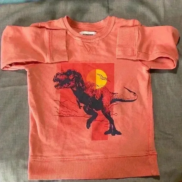 Unisex Sweet T-Rex lightweight kids sweatshirt. - Picture 3 of 5